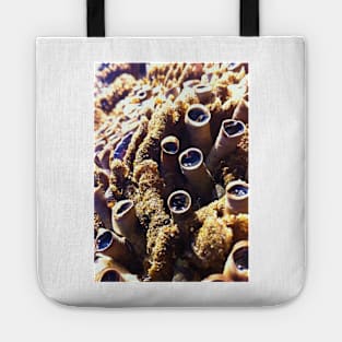 Tube Snails Tote