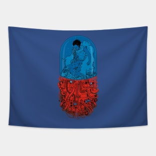 Capsule 41 Tapestry