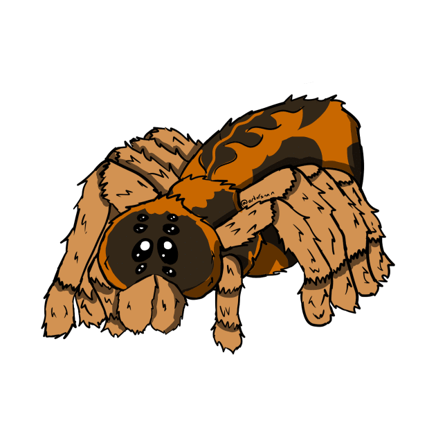 A Little Spooder - Briar by tearsforlu