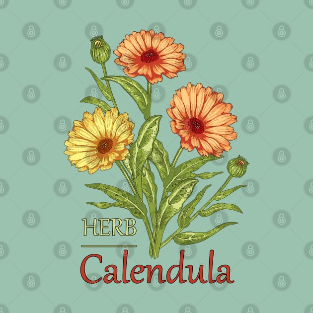 Herb Calendula-Herb plant Calendula-Spring flowers Calendula-Easter gift-Beautiful Herb flowers by KrasiStaleva