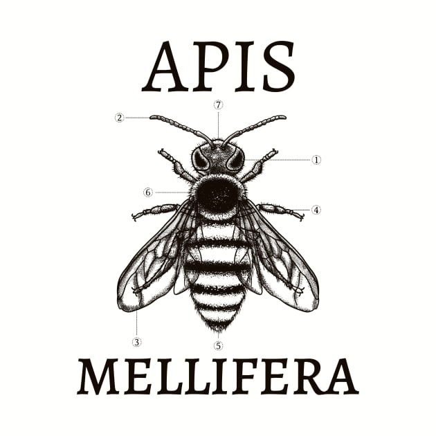 Apis Mellifera by OnePush