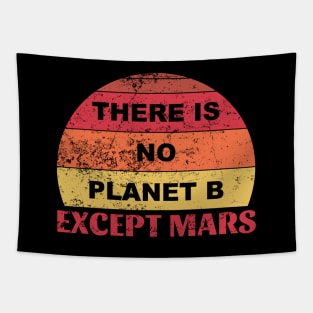 "There Is No Planet B Except Mars" Tapestry