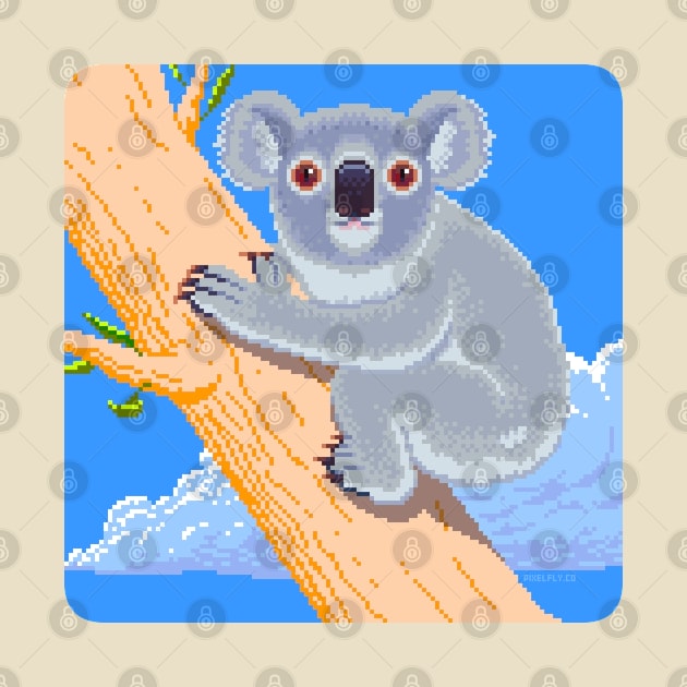 Koala by PIXELFLY