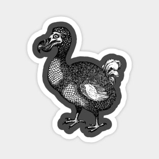 It's Dodo Magnet