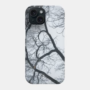 I Heart This Tree Phone Case