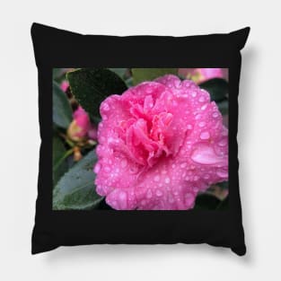 Pink Rhodo in the Rain Pillow