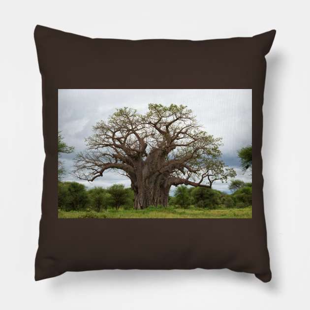 Baobab Tree Pillow by yairkarelic