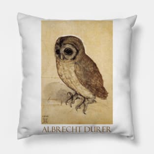 The Little Owl (1508) by Albrecht Durer Pillow