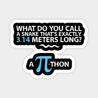 Funny Math Humor Snake Reptile 3.14 Pi Students Kids Magnet