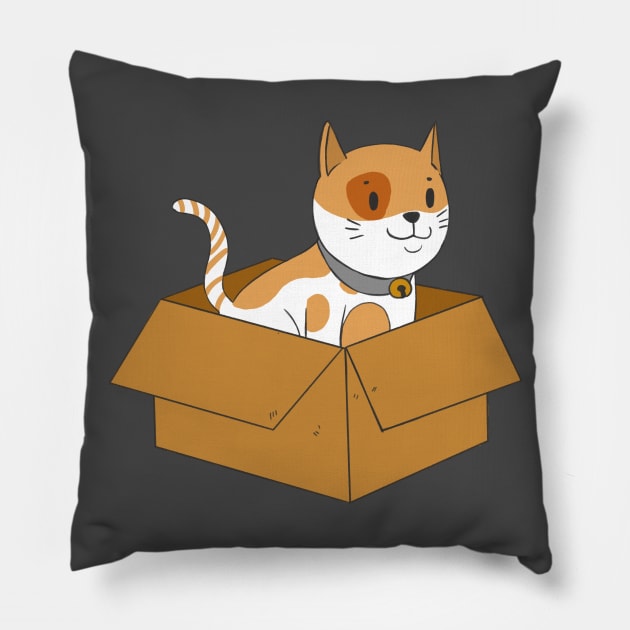 Cat in a box! Pillow by blackproxima