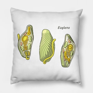 Euglena Protozoan Illustration Pillow