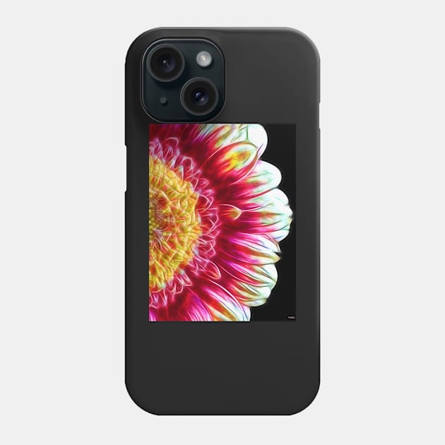 Gerbera Daisy Close Up Phone Case by danieljanda