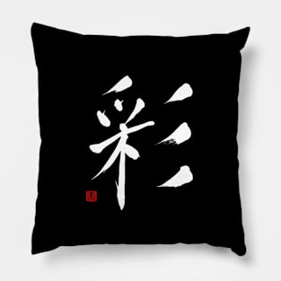 Color 彩 Japanese Calligraphy Kanji Character Pillow