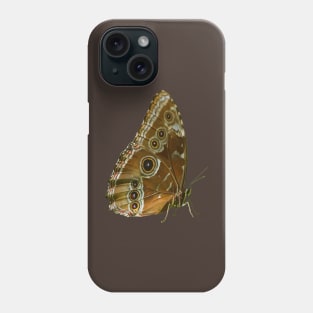 Beautiful Butterfly Wings of Meadow Brown Isolated Phone Case