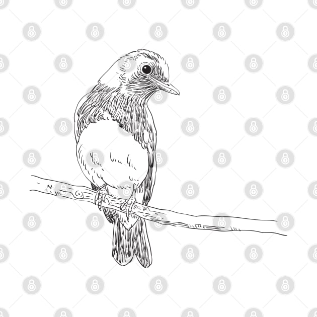 Little Bird Sketch by Mulyadi Walet