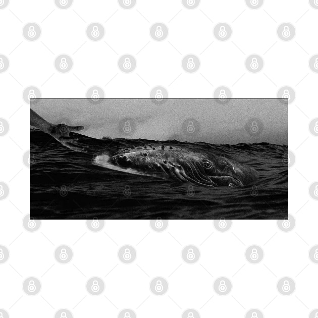 whale b&w by ZLstore