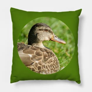 Female Mallard in the Grass Photograph Pillow