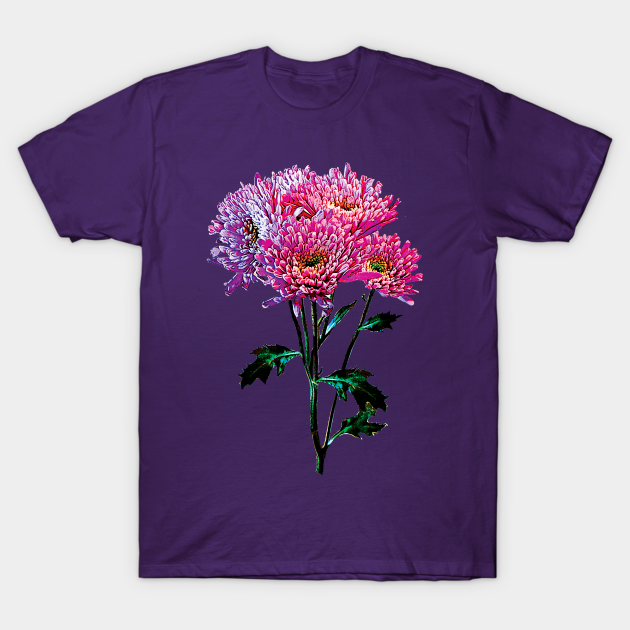 Chrysanthemums - Pink and Lavender Mums - Chrysanthemum - T-Shirt