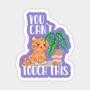 Grumpy Plant eater Cat with funny You Can´t Touch this slogan Magnet