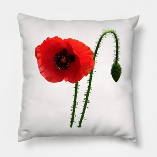 Red Poppy and Bud Pillow