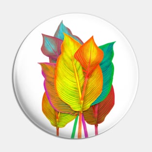 Canna Tropicanna Pin