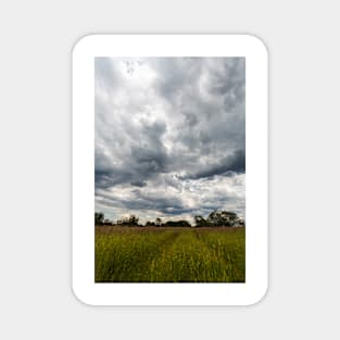 Stormy cloudscape over meadow, Poland, Europe Magnet