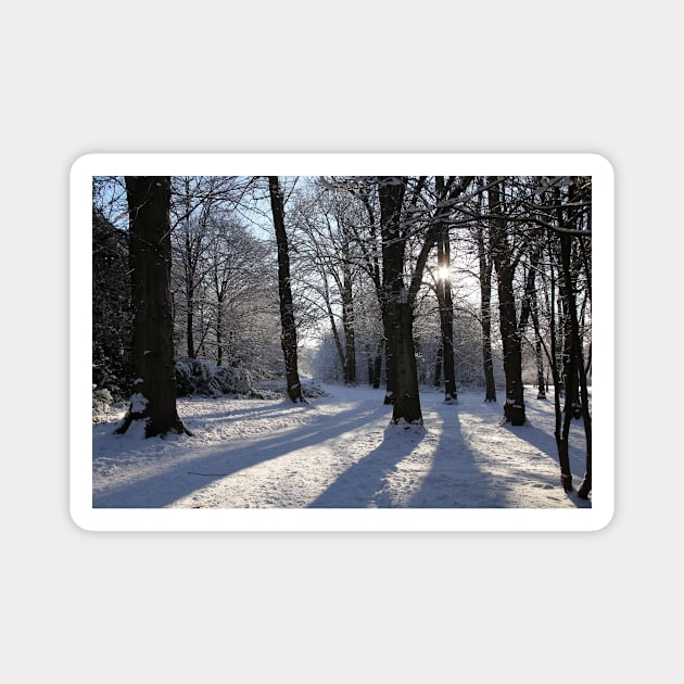 Winter Shadows Magnet by JohnDalkin