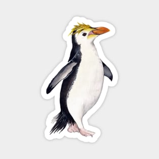 Royal Penguin Magnet