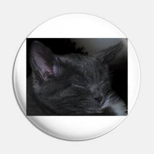 Cat Napping Pin