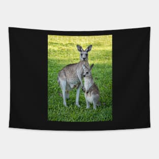 Eastern Grey Kangaroo and Joey Tapestry