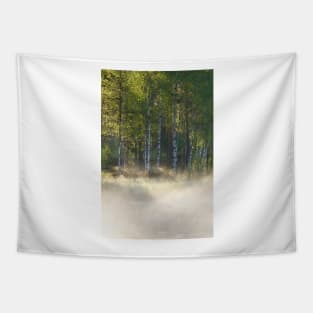 Small foggy forest pond at sunrise summer morning Tapestry