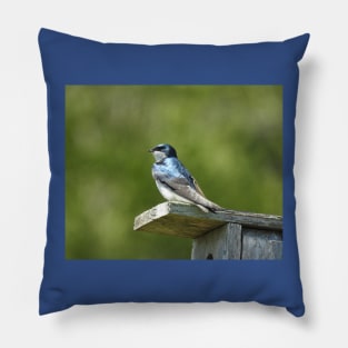 Tree swallow, wild birds, wildlife gifts Pillow