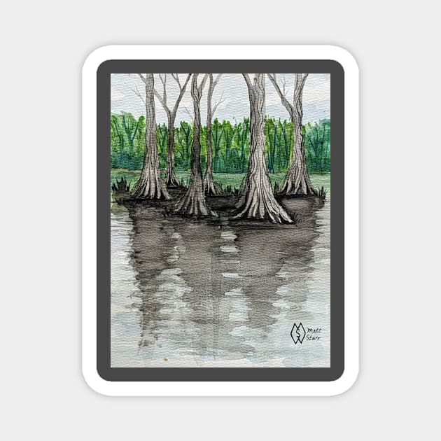 Cypress trees in the swamp Magnet by Matt Starr Fine Art