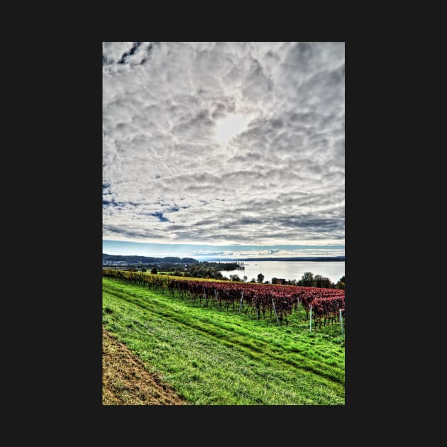 Autumn at Lake Constance, Germany by holgermader