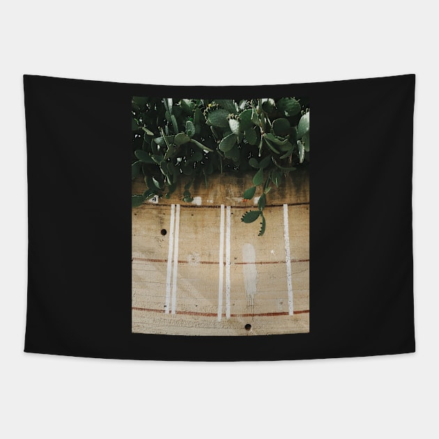 Indian Fig Cacti Tapestry by visualspectrum