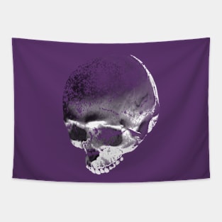 Grunge Skull Tapestry