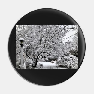 Winter In New York Pin