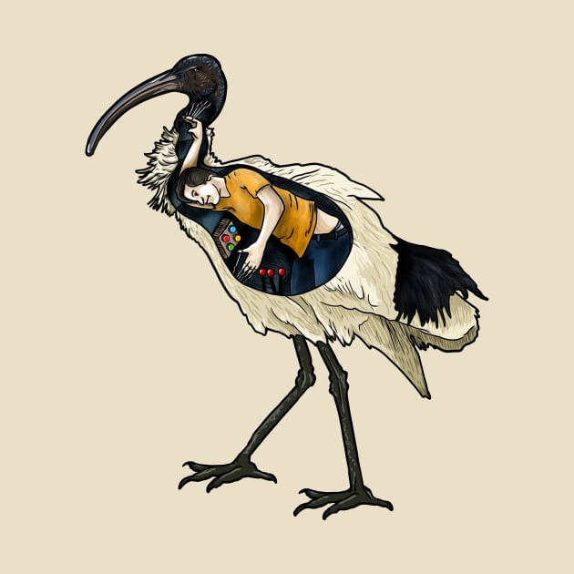 Ibis by Harley Warren