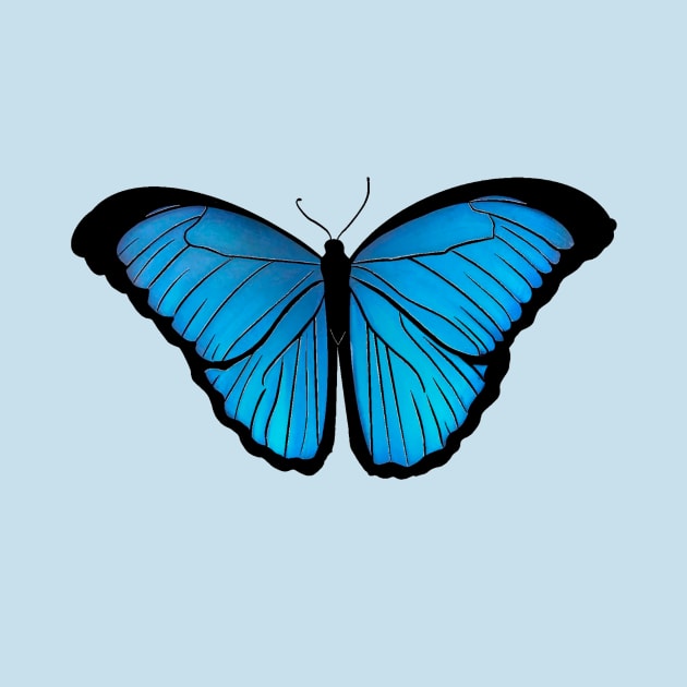 Mariposa azul aesthetic cottagecore  lepidopterología by uchix