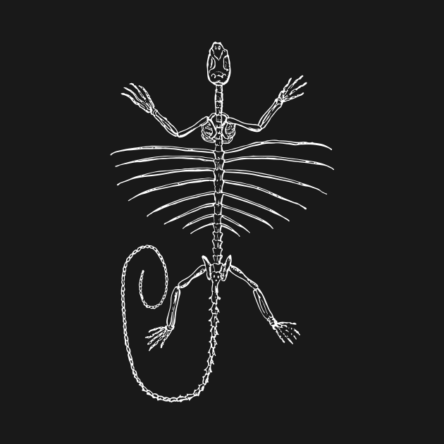 Lizard skeleton by tommartinart