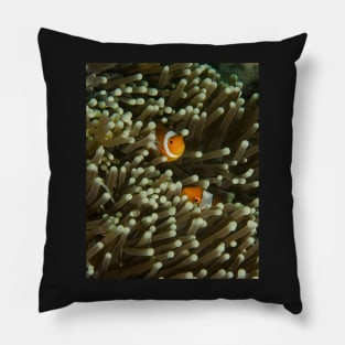 A Pair of Anemonefish Pillow