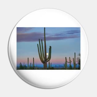 Saguaro And Moon Saguaro National Park Pin