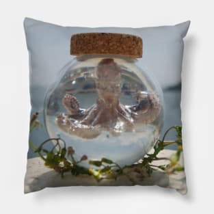 An Octopus Called Steve Pillow