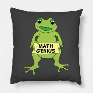 Math Genius Frog Pillow