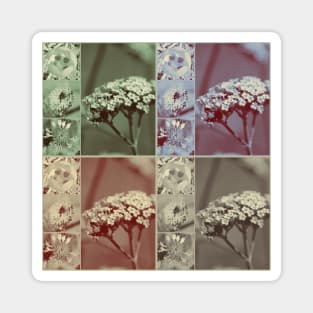 Vintage Retro Flower Collage Magnet