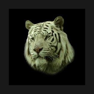 White tiger T-Shirt