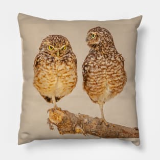 Burrowing owl athena cunnicularia Pillow