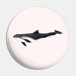 Harbour porpoise Pin