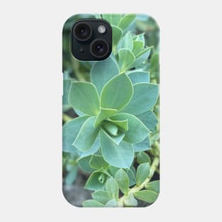 Stonecrops in Spring Phone Case