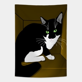 Cute Tuxedo Cat Cat in a box Copyright TeAnne Tapestry